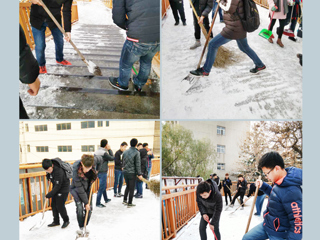 这边扫雪忙 那边暖人心─物理与电子信息学院新生自发到天桥铲雪除冰